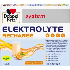 system ELEKTROLYTE RECHARGE - 20 Beutel>Doppelherz Outlet