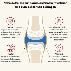 Doppelherz® system KOLLAGEN 11.000 PLUS Sparset><noscript><img width=