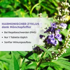 ® Mönchspfeffer 4 mg Filmtabletten><noscript><img width=
