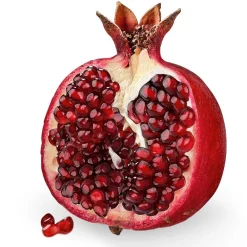 Dr. Jacob's Basen-Riegel Granatapfel Dattel Frucht Protein Vitamin B12 vegan|Dr. Jacob's Sale
