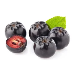 Dr. Jacob's Basen-Riegel Granatapfel Dattel Frucht Protein Vitamin B12 vegan|Dr. Jacob's Sale