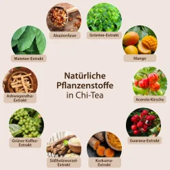Dr.Jacob's Chi-Tea grüner Tee mit Akazienfaser Kaffee Mate Guarana Acerola Mango><noscript><img width=