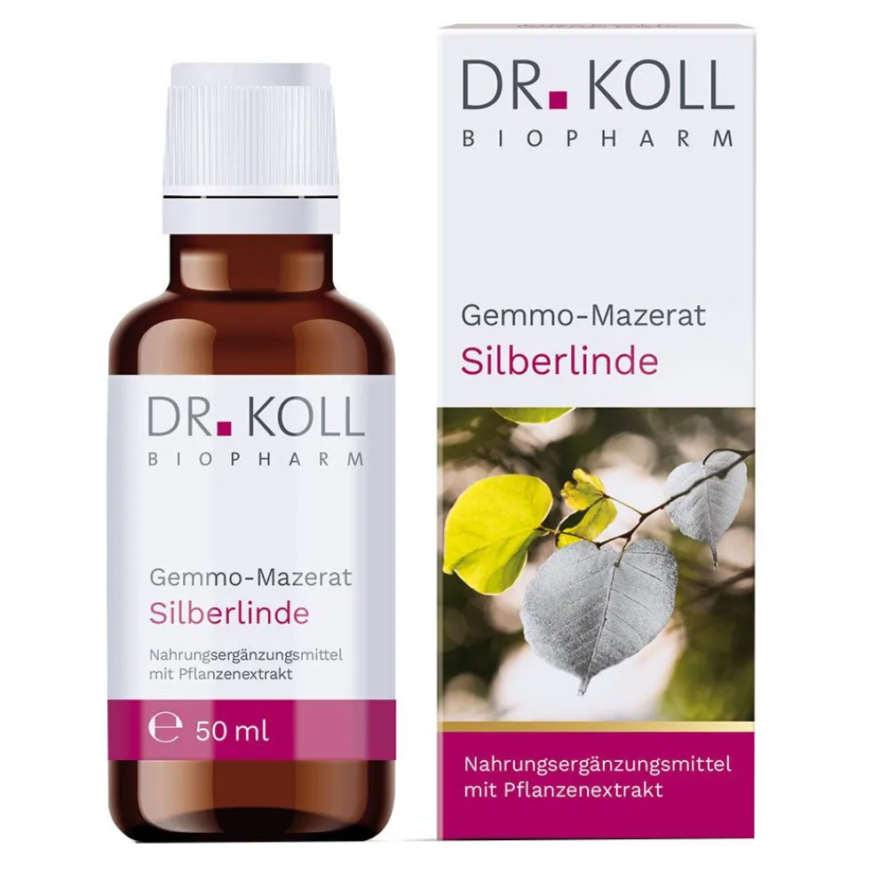 DR. KOLL GEMMO Mazerat Silberlinde Dr.Koll Tilia tomentosa| New