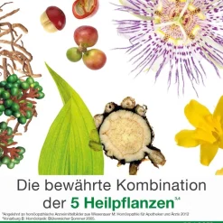 dystoLoges® Tropfen><noscript><img width=