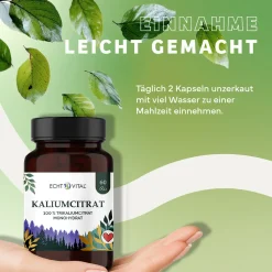 Kaliumcitrat|Echt Vital Sale