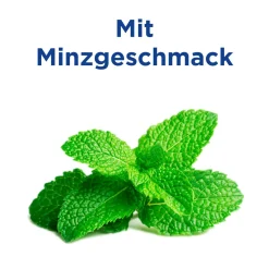 Bambus-Zahnhölzer Minzgeschmack|elmex Best