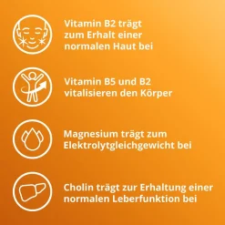 Elotrans® reload – Veganes Trinkpulver – nach anstrengenden Aktivitäten oder bei Erschöpfung, Isotonische Elektrolyt-Glucose-Mischung><noscript><img data-lazyloaded=