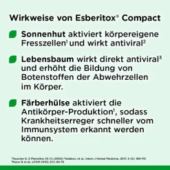 COMPACT Tabletten bei Erkältungskrankheiten|Esberitox Best