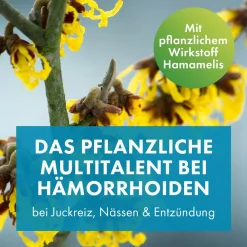 Lind Hämorrhoidensalbe - bei Jucken, Nässen, Brennen, Entzündungen, kleinen Blutungen, 25 g (mit Applikator)|FAKTU Sale