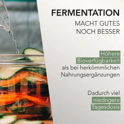 Fermentura® Ginseng Duo><noscript><img width=