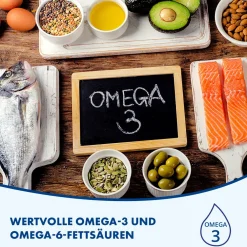 FOKUS IQ QUIRIS zur Unterstützung geistiger Leistungsfähigkeit mit Omega-3 und 6 und Vitamin-Mineralstoff Komplex><noscript><img width=