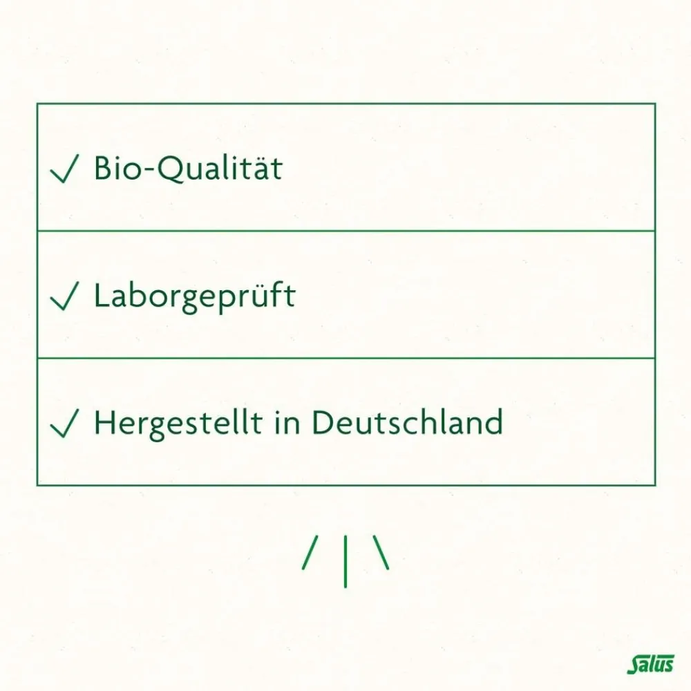 FreeBalance Löwenzahn-Brennnessel Basischer Tee> Outlet