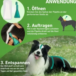 COMBO® Spot on gegen Flöhe und Zecken Hund M 10-20kg|Frontline Online