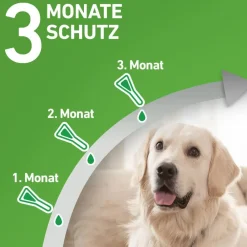 COMBO® Spot on gegen Flöhe und Zecken Hund L 20-40kg><noscript><img width=
