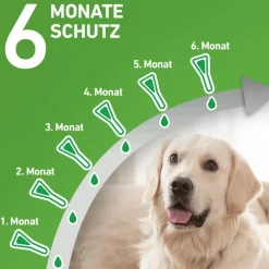 COMBO® Spot on gegen Flöhe und Zecken Hund S 2-10kg><noscript><img width=
