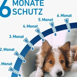 ® SPOT ON Hund (10-20kg) gegen Zecken und Flöhe|Frontline
