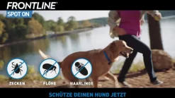 ® SPOT ON Hund (10-20kg) gegen Zecken und Flöhe|Frontline