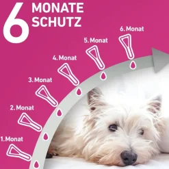 TRI-ACT® gegen Zecken, Flöhe und fliegende Insekten beim Hund (20-40kg)><noscript><img width=