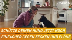 FRONTPRO® Kautablette gegen Zecken und Flöhe für Hunde (2-4kg)><noscript><img width=