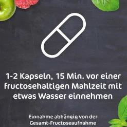 FRUCTOSiN® - zur Linderung von durch Fruktosemalabsorption bedingten Verdauungsbeschwerden><noscript><img width=