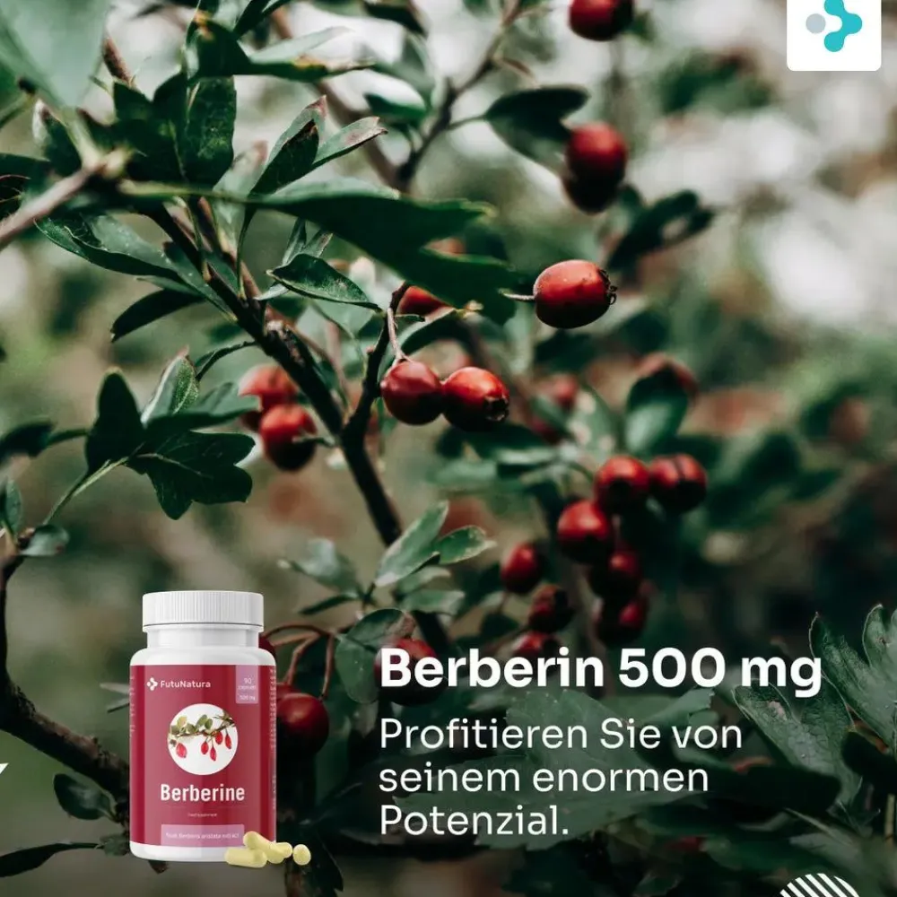 Berberin 500 mg - Berberitze (Berberis aristata)>FutuNatura Outlet
