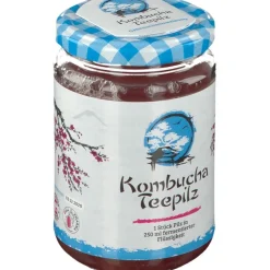 Kombucha Teepilz|Gall Pharma Sale