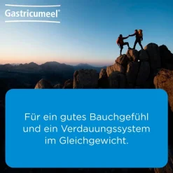 Gastricumeel® Tabletten><noscript><img width=