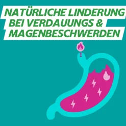 GAVINatura® Lutschtabletten bei Verdauungsbeschwerden & Sodbrennen| Outlet