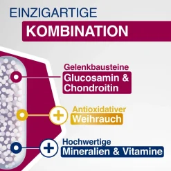 ® Glucosamin Chondroitin hochdosiert mit Vitamin C|Gelencium Hot