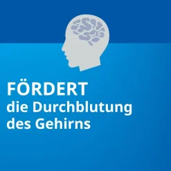 Ginkgo Biloba STADA® 240 mg bei Gedächtnis- und Konzentrationsstörungen - Jetzt 15% mit dem Code stada15 sparen*| Online