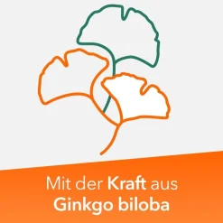 Ginkobil® 120mg mit Ginkgo biloba><noscript><img width=