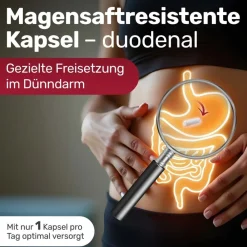 GLYCOWOHL® Eisen-Komplex duodenal 40 mg + Vitamin C hochdosiert><noscript><img width=