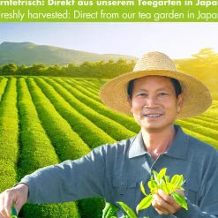 Goodwei Bio Matcha Tea Premium Quality> New