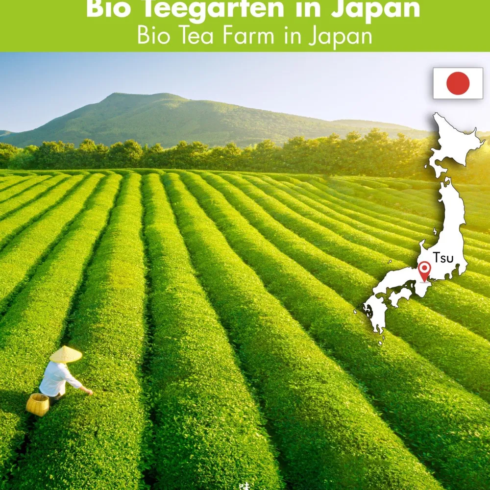 Goodwei Matcha Pulver Bio - Japanischer Culinary Matcha>