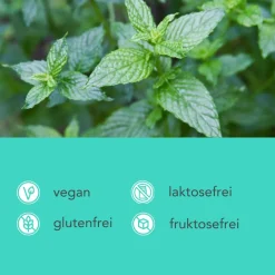 Grüne Minze Kapseln - Spearmint><noscript><img width=