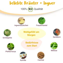 Guten Morgen Mami BIO Schwangerschaftstee für das 1. Trimester - von PregniVital®> Discount