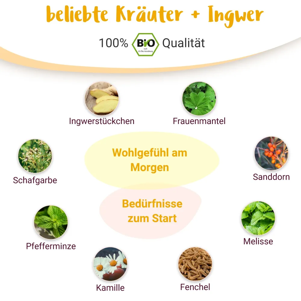 Guten Morgen Mami BIO Schwangerschaftstee für das 1. Trimester - von PregniVital®> Discount
