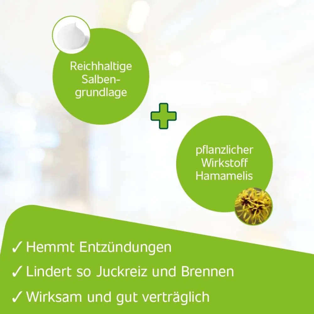 ® Hämorrhoidensalbe mit Applikator>Hametum Hot