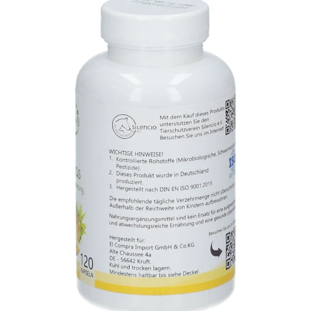 Hannes pure Lebenslust® ANANAS| Discount