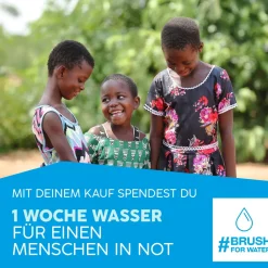 Aufsteckbürsten ECO VIBE 3 Black-Mint|happybrush Sale