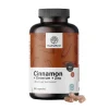 HealthyWorld Zimt mit Chrom und Zink> Hot