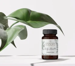 Holy Health Magnesium & Vitamin Komplex mit  MSM + L-Lysin * | 60 Kapseln|sapura