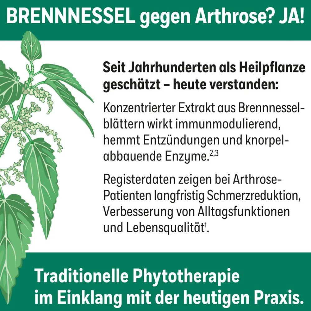 HOX alpha® Hartkapseln| Hot