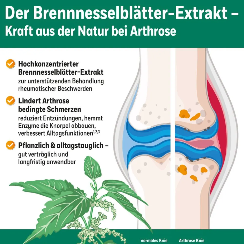 HOX alpha® Hartkapseln| Hot