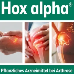 HOX alpha® Hartkapseln| Hot