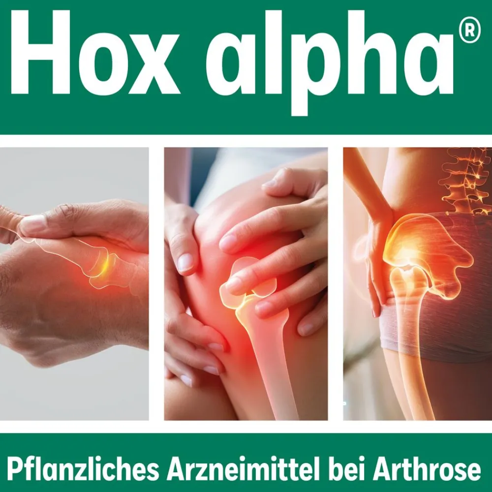 HOX alpha® Hartkapseln| Hot