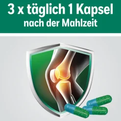 HOX alpha® Hartkapseln| Hot