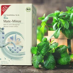 H&S Wohlfühltee Bio Mate-Minze|H&S Arzneitee