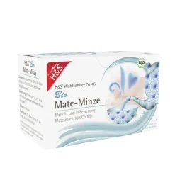 H&S Wohlfühltee Bio Mate-Minze|H&S Arzneitee