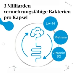 IberoBiotics® Zen - für ein gutes Bauchgefühl in stressigen Zeiten - Jetzt 20% mit dem Code 20 sparen*|Iberogast Sale